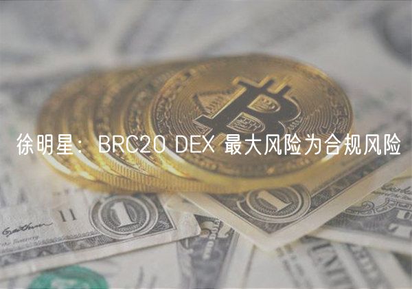 徐明星：BRC20 D 最大风险为合规风险