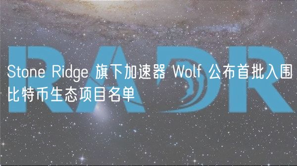 Ston Ridg 旗下加速器 Wolf 公布首批入围比特币生态项目名单