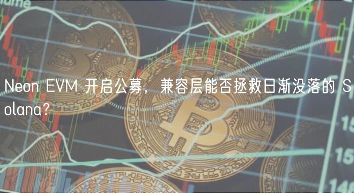 Non VM 开启公募，兼容层能否拯救日渐没落的 Solana？