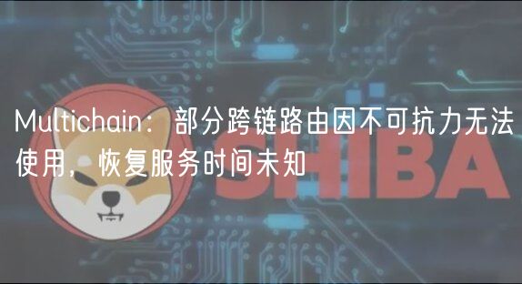 Multichain：部分跨链路由因不可抗力无法使用，恢复服务时间未知