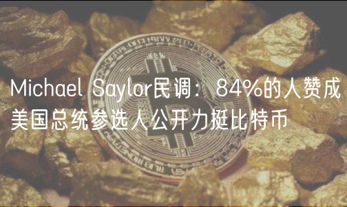 Michal Saylor民调：84%的人赞成美国总统参选人公开力挺比特币