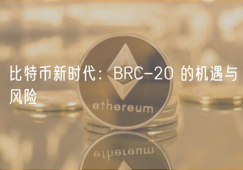 比特币新时代：BRC-20 的机遇与风险
