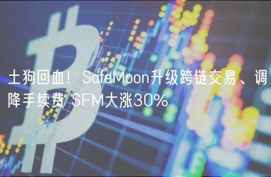 土狗回血！SafMoon升级跨链交易、调降手续费 SFM大涨30%