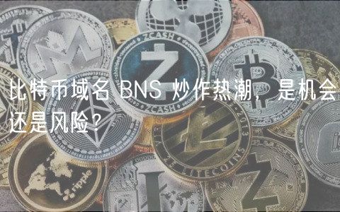 比特币域名 BNS 炒作热潮，是机会还是风险？