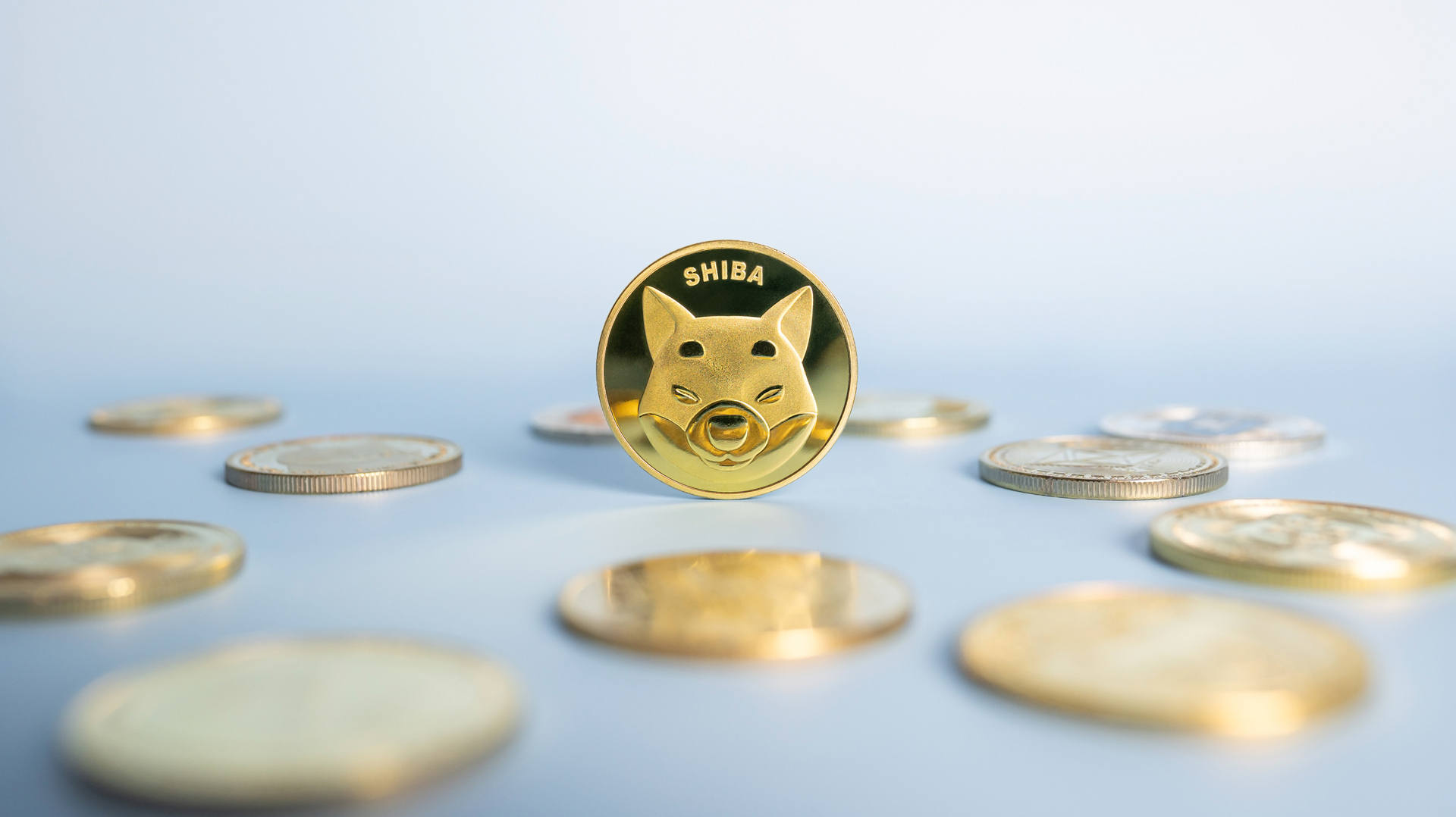 SHIB的销毁狂潮并未增加其价格