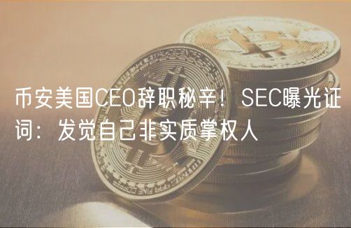 币安美国CO辞职秘辛！SC曝光证词：发觉自己非实质掌权人