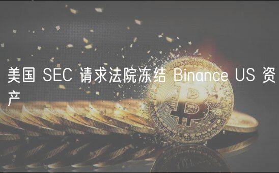 美国 SC 请求法院冻结 Binanc US 资产