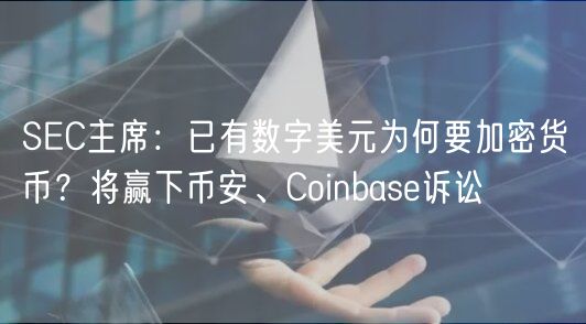 SC主席：已有数字美元为何要加密货币？将赢下币安、Coinbas诉讼