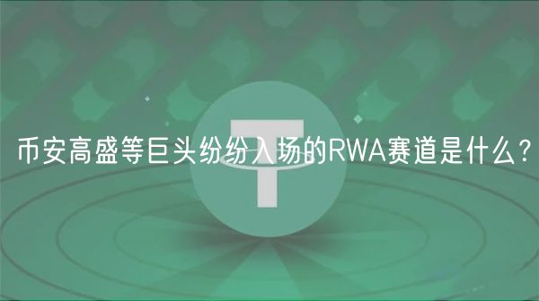 币安高盛等巨头纷纷入场的RWA赛道是什么？