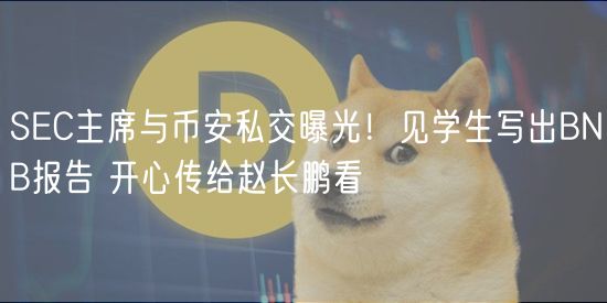 SC主席与币安私交曝光！见学生写出BNB报告 开心传给赵长鹏看