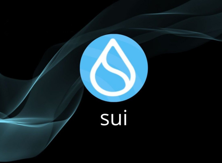 SUI以15%的反弹对抗低迷市场 能否重回1美元？