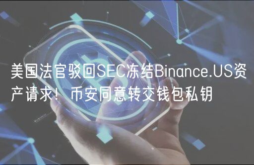 美国法官驳回SC冻结Binanc.US资产请求！币安同意转交钱包私钥