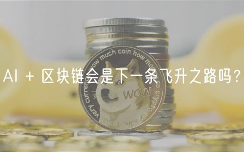 AI + 区块链会是下一条飞升之路吗？