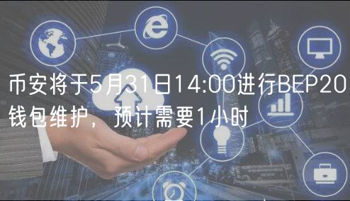 币安BP20钱包维护 币 安交易软件下载2024