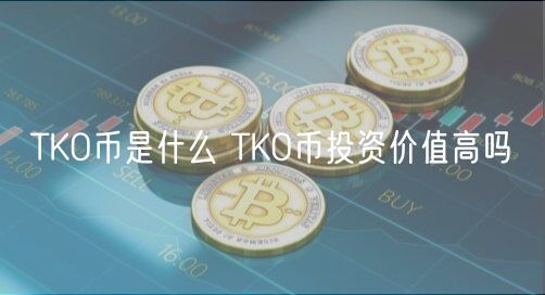 TKO币是什么 TKO币投资价值高吗