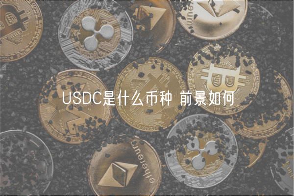 USDC是什么币种 前景如何