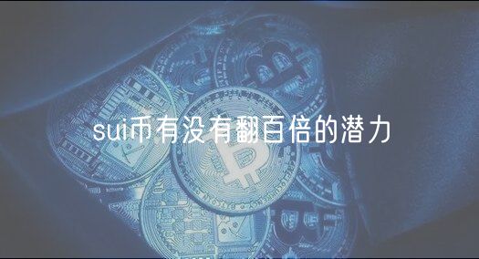 sui币有没有翻百倍的潜力