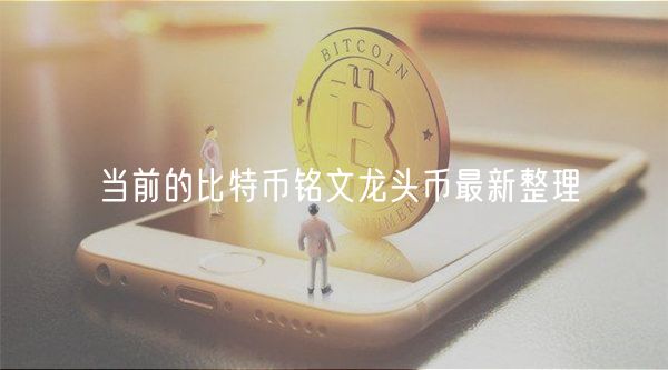 当前的比特币铭文龙头币最新整理