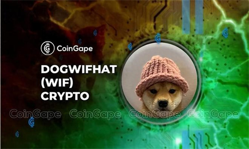 分析师看好WIF币 认为或有可能超越PP和SHIB