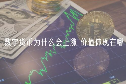 数字货币为什么会上涨 价值体现在哪