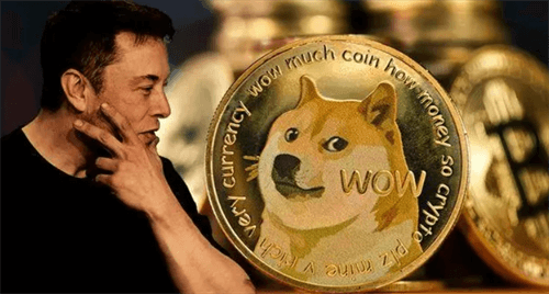 dog币成长过程 一文了解dog币发展史