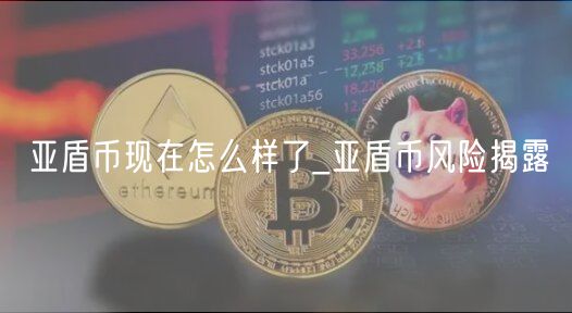 亚盾币现在怎么样了_亚盾币风险揭露