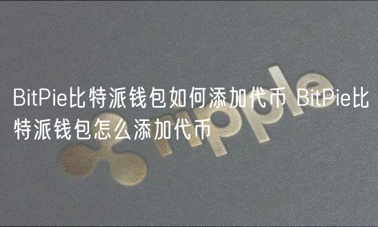 BitPi比特派钱包如何添加代币 BitPi比特派钱包怎么添加代币
