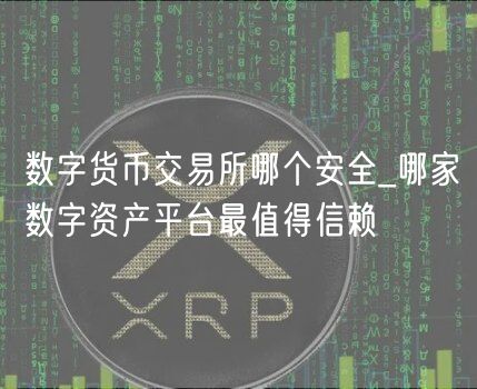 数字货币交易所哪个安全_哪家数字资产平台最值得信赖