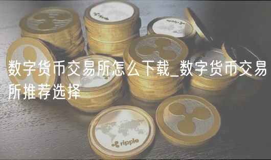 数字货币交易所怎么下载_数字货币交易所推荐选择