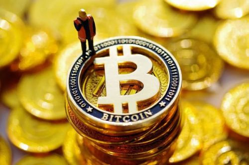 宝贝狗币BabyDoge是什么？宝贝狗币目前的价格是多少？-第1张图片-欧意下载