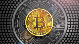 WIF币万倍用了多久？WIF币2025价格预测