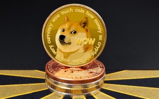 币安扩大对狗狗币的支持，DOGE价格将上涨至 0.1 美元？