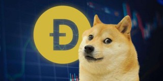 狗狗币DOGE值得长期持有吗 未来前景怎么样