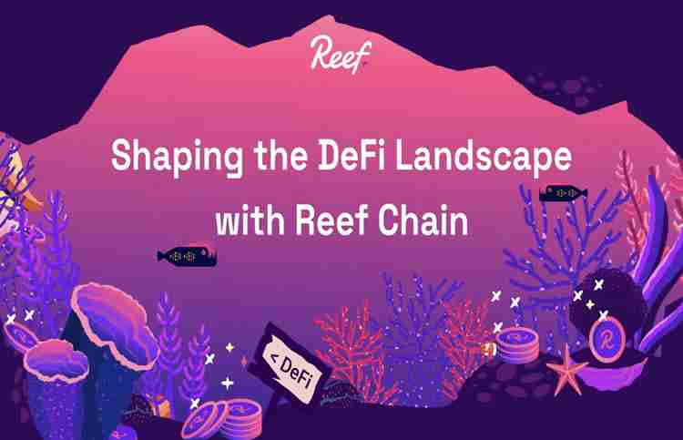 Reef币是什么?未来如何?值得投资吗?REEF币未来走势预测