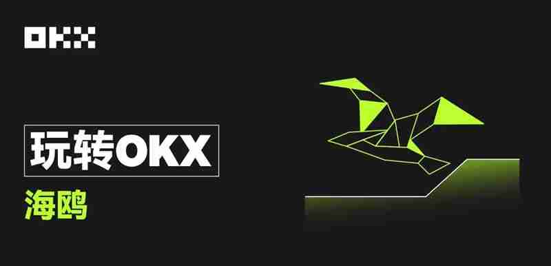 什么是币安OKX海鸥?OKX海鸥怎么申购?申购OKX海鸥操作教程