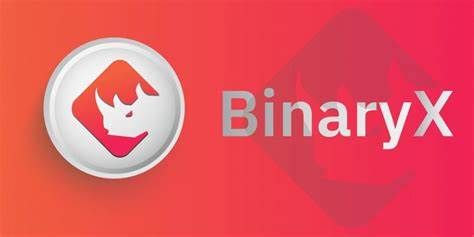 什么是BinaryX币-第1张图片-欧意下载